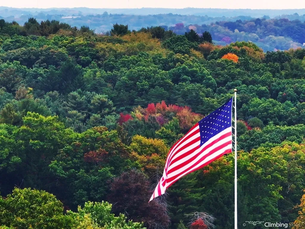 A flag flying in the middle of a forest.