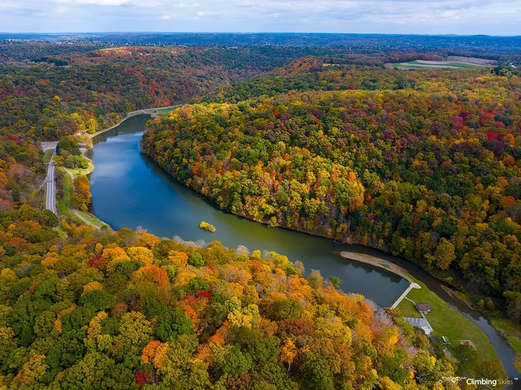 A river surrounded by trees with lots of leaves.